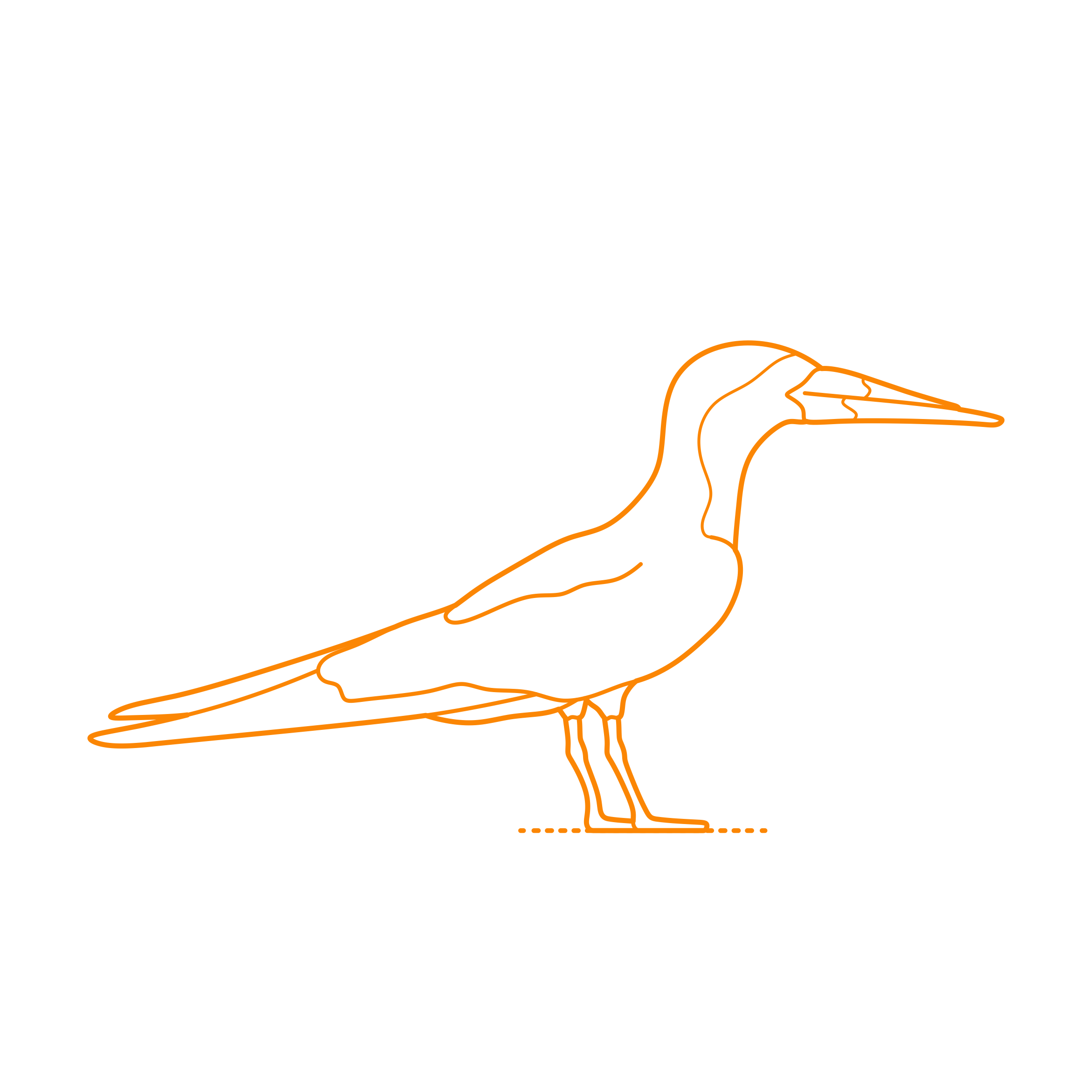 Animals Seabirds Black Skimmer Craft Design Svg File Free Vectors